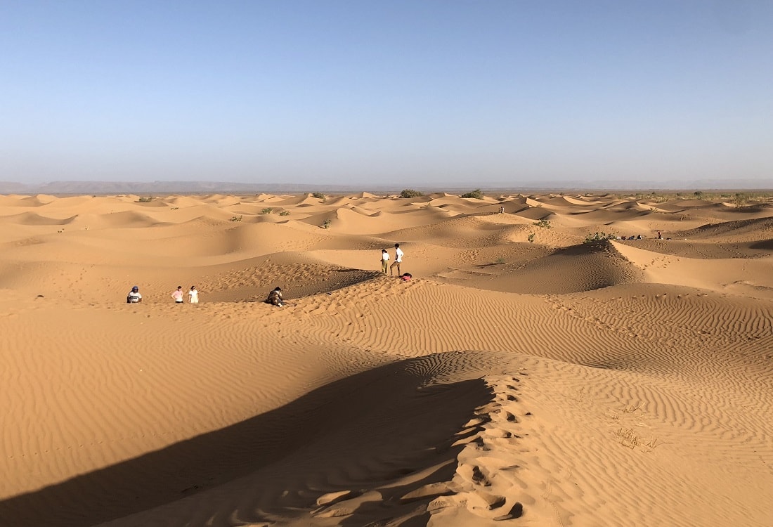 Sahara camel tour